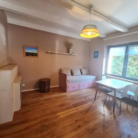 Airport Private Apartment, Advance Registration, No Reception, Self Check-in, Calm Environment, Non-smoking Guests * Tuchomerice